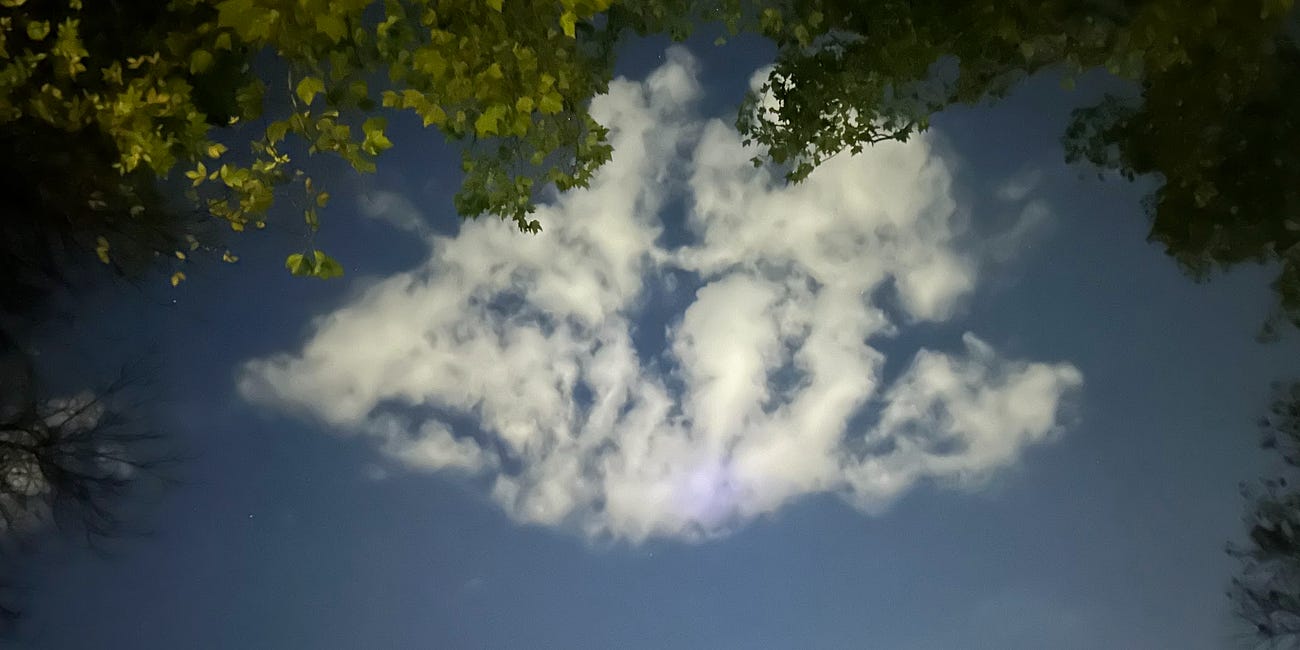 claire's 3 prophecies: jc3, love, detail (new recording 25) 