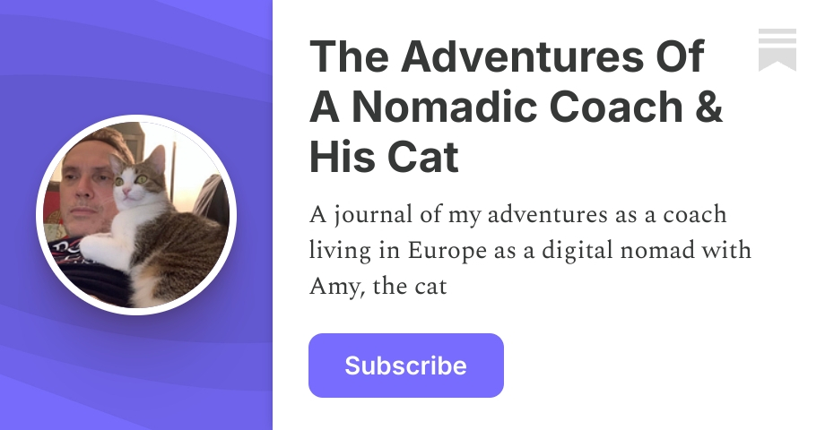 The Adventures Of A Nomadic Coach & His Cat | Laurence & Amelia | Substack