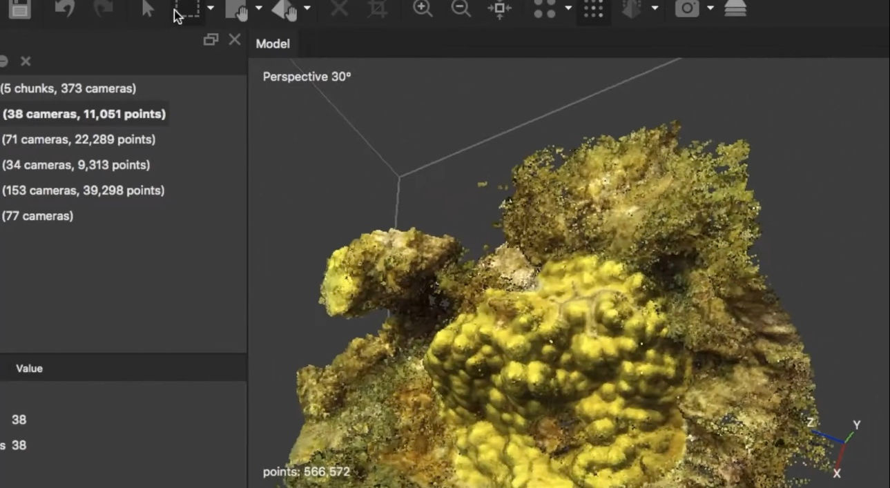 Photo credit: Fish’N Fins Inc.  Montserrat bright yellow Mustard coral/ 30cm wide and tall, with feather  duster in the front to help give a sense of scale. Dive Site: Sunshine Rock, Little Bay Jetty. 3D model created by Dr. Grace C. Young.