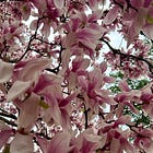 Death is Also a Muse