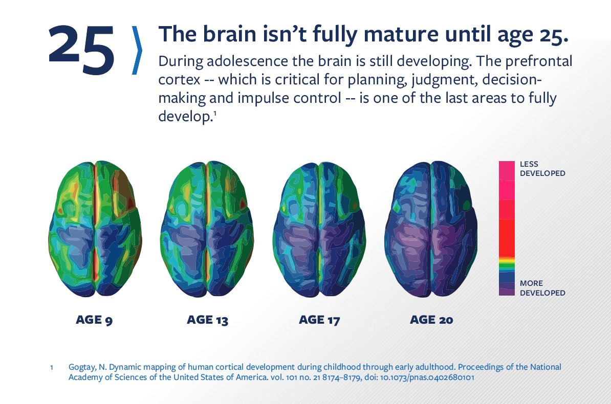 Firas K. on Twitter: &quot;7- And just there! Is where I remembered that people  who are in the adolescent age group tend to be impulsive, irrational and  make rash &amp; impetuous decisions.