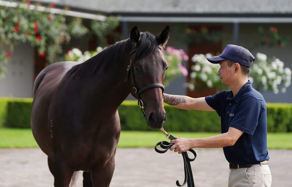 inglis_coolmore_media_day_032-1.jpg