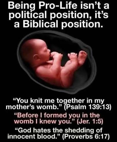Biblical verses about life in the womb Biblical verses about life in the womb
