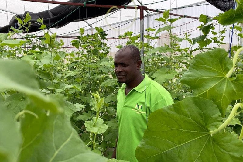 Felix Kamassah, founder of Maphlix in Ghana, which supplies KFC and exports to Europe.