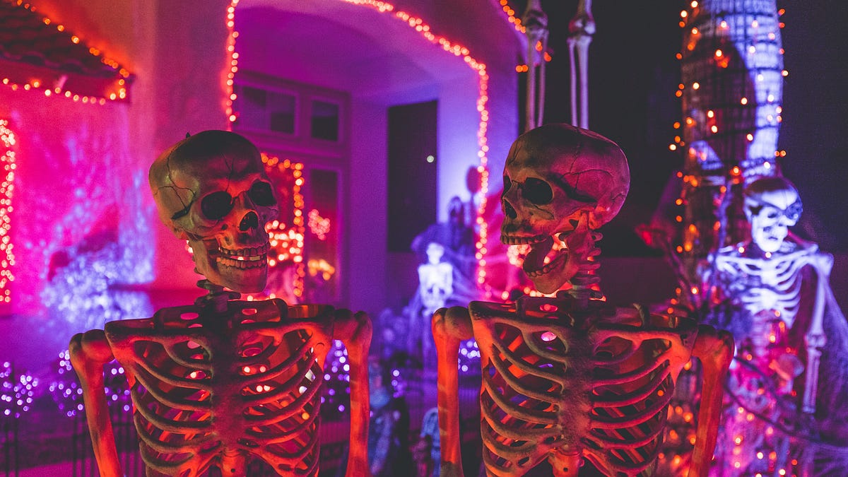 where the queers will be this month, october 2026 edition.