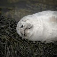 letters to my friends