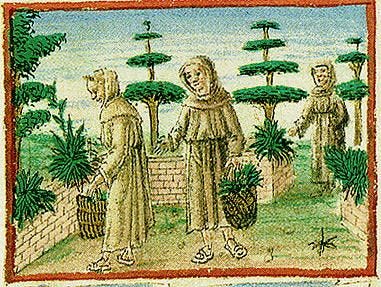Various examples of topiary design, from ancient Rome to suburban California.