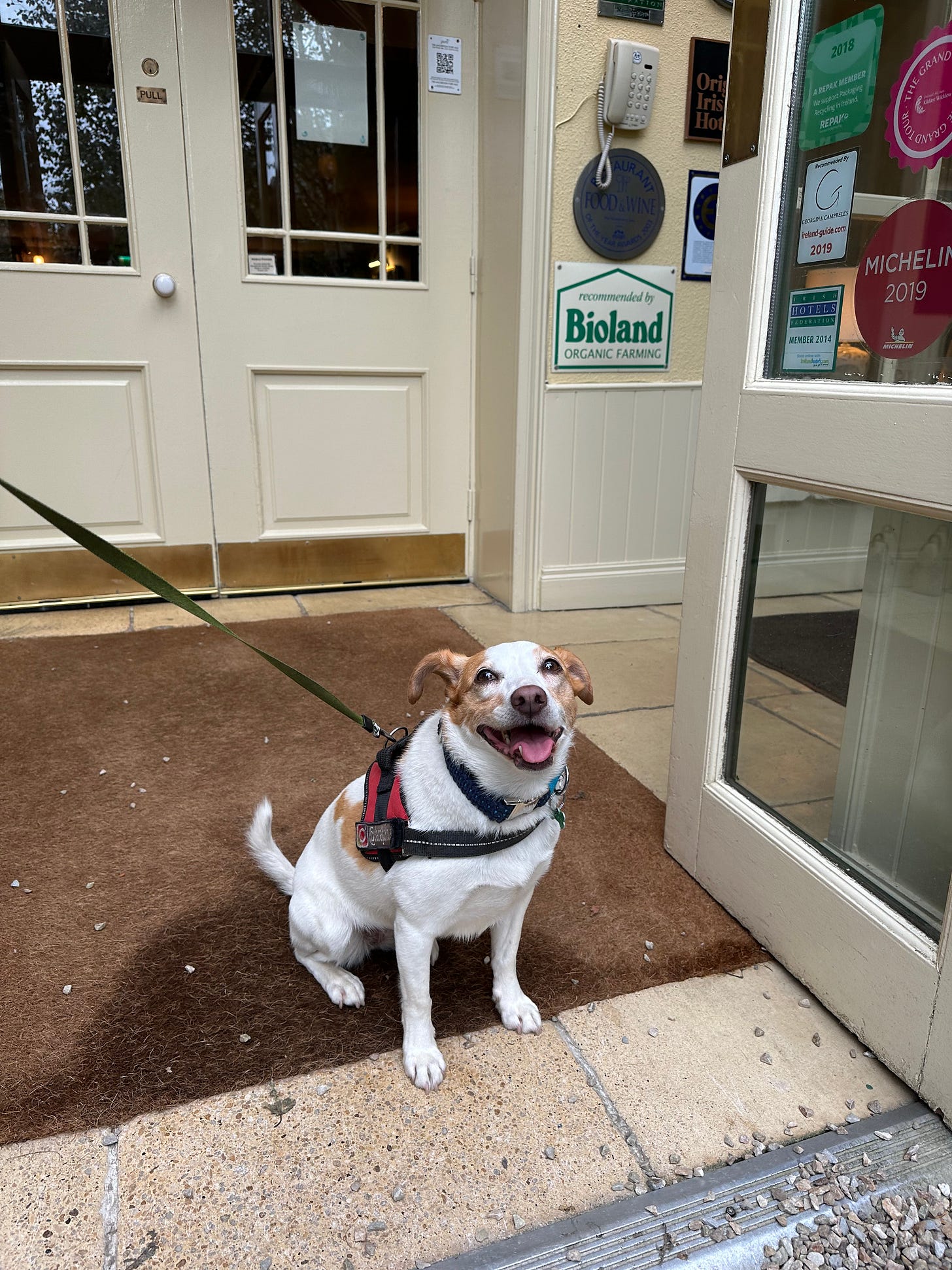 Clara loving it at BrookLodge & Macreddin Village