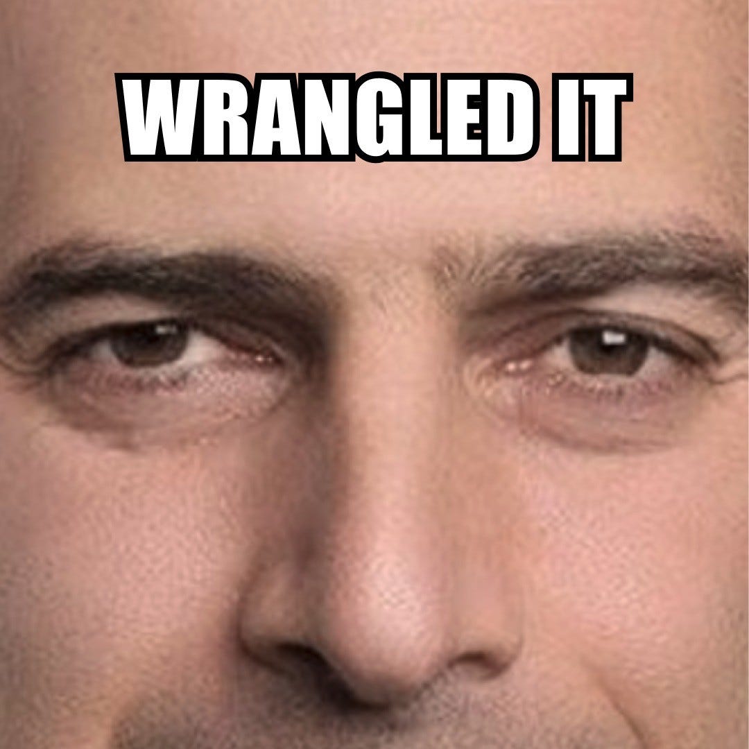 An extreme close-up of his eyes, captioned "Wrangled it".