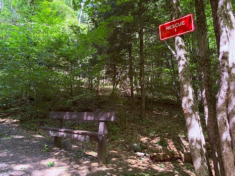 gravel, trees, trail, bench, signs