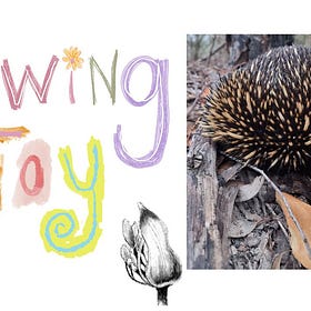 Drawing Joy | Visual Journaling No. 6