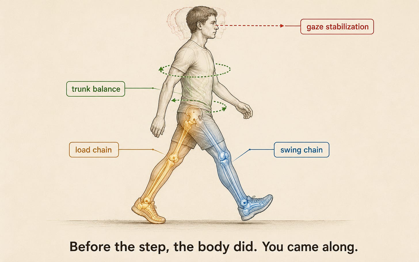 Our body does multiple things before we learn to standup, walk and behave! Our body does multiple things before we learn to standup, walk and behave!