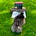Daryl Sneath's avatar