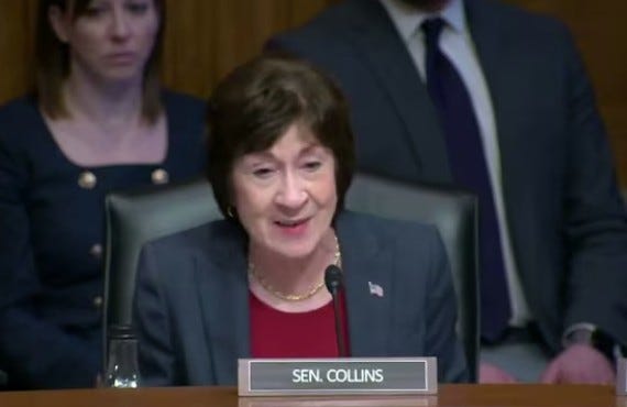 Every Maine Democrat Tested Against Susan Collins Could Beat Her