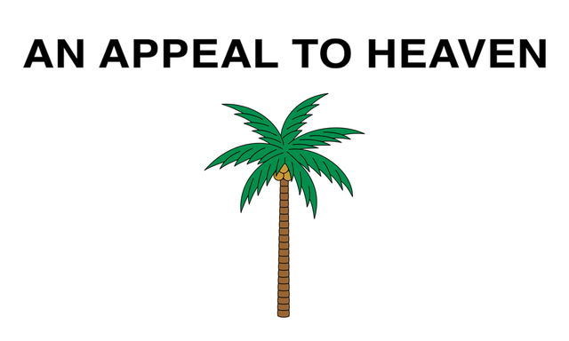 My take on the 'Coconut An Appeal to Heaven' flag, using a heraldic palm. ( Kamala Harris supporter flag) : r/vexillology