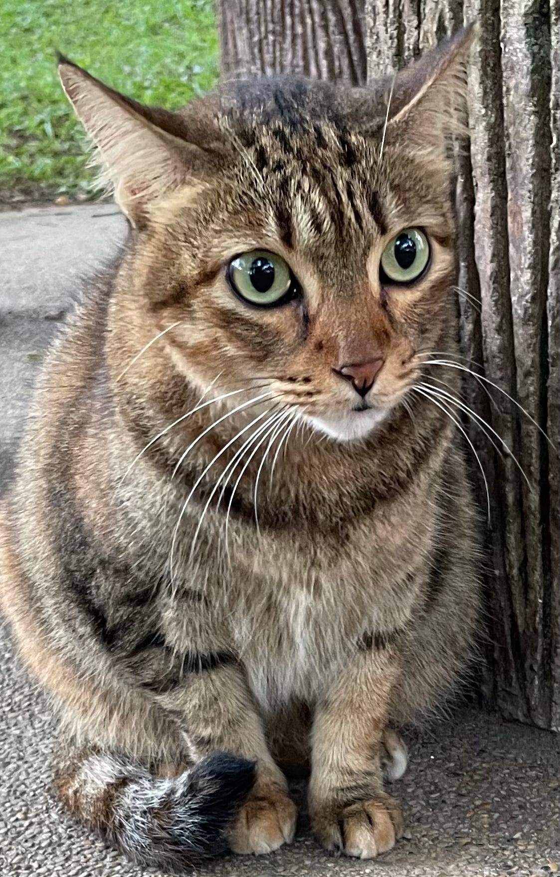 Miss G’s Newsletter