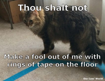 Chase Tape Circle (lol) Chase Tape Circle (lol)