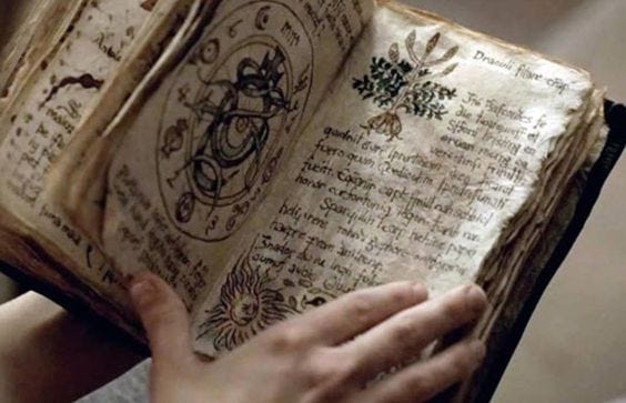This may contain: a person holding an open book with writing on the pages and in front of them This may contain: a person holding an open book with writing on the pages and in front of them