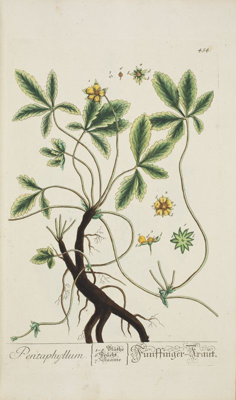 See the source image