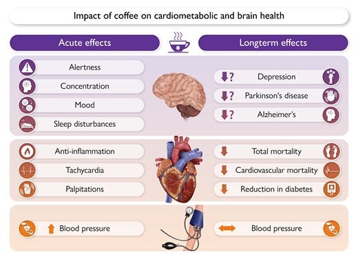 Acute (left) and longterm effects (right) of coffee consumption.