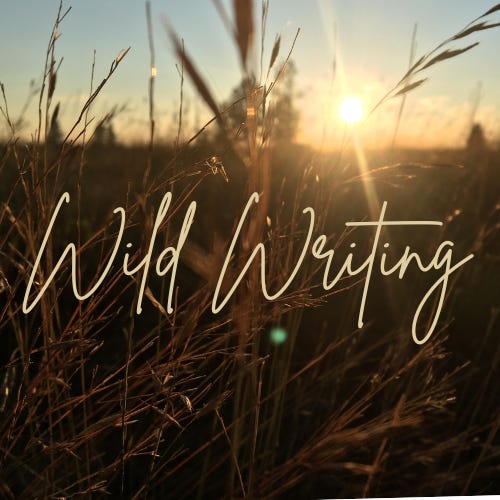 Wild Writing