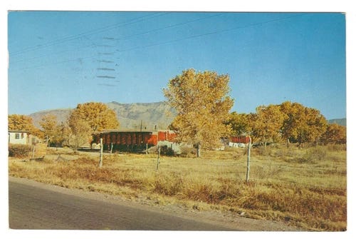 Vintage Autumn in Albuquerque New Mexico Postcard Posted 1959 - Picture 1 of 2