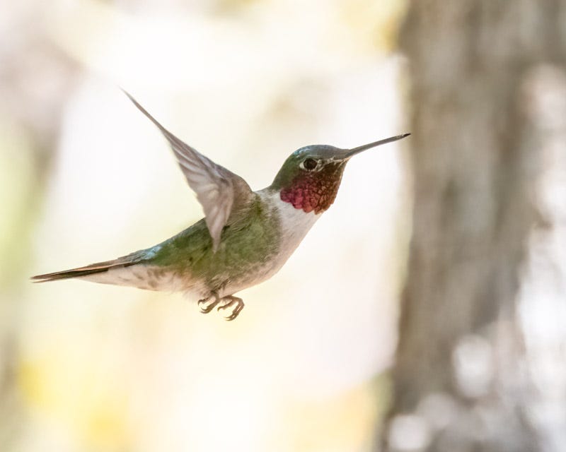 20250521-MillerCanyon-271-Edit 2.jpg 20250521-MillerCanyon-271-Edit 2.jpg