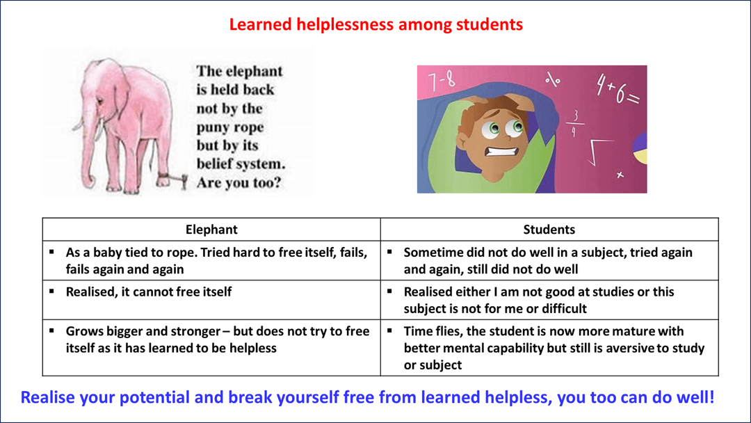 Learned helplessness : r/GetStudying
