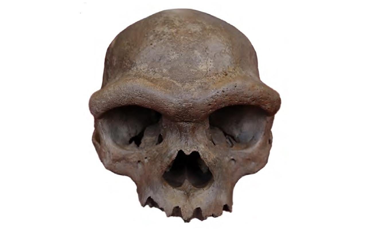 Ancient Jomon DNA reveals a lost East Asian lineage with the lowest Denisovan ancestry in the region