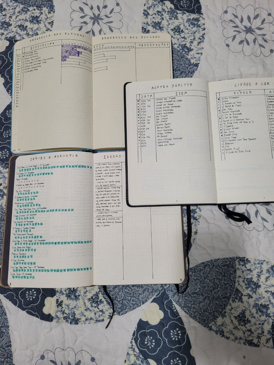3 cadernos mostrando coleções de livros, séries, planejamento de estudos, agenda da minha cachorrinha e ideias. 3 cadernos mostrando coleções de livros, séries, planejamento de estudos, agenda da minha cachorrinha e ideias.