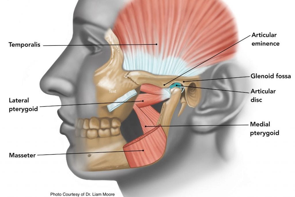Jaw Clicking (Popping) Explained - Museum Dental Center - Los Angeles Jaw Clicking (Popping) Explained - Museum Dental Center - Los Angeles