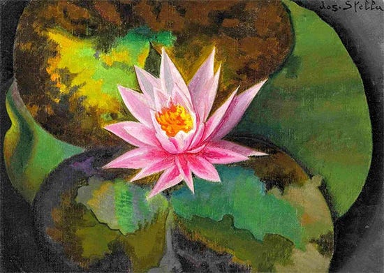 Pink Water Lily, 1920, Joseph Stella Pink Water Lily, 1920, Joseph Stella