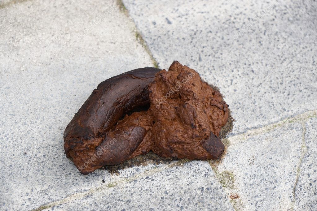 Dog turd or dirt — Stock Photo © buecax #116059364