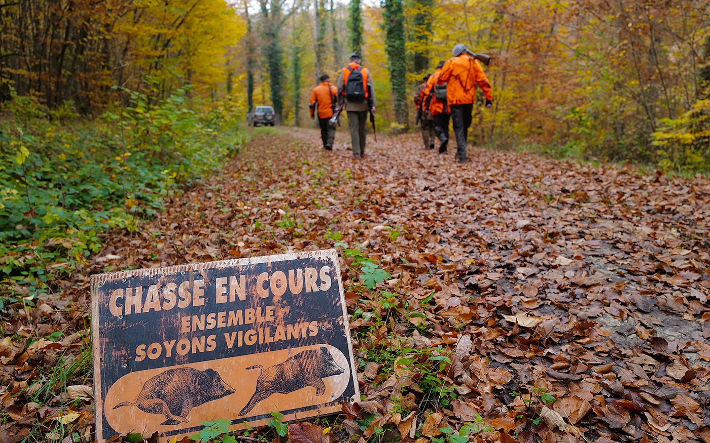 A group of men in orange hunting vests walking through a forest past a sign reading "Chasse en cours, ensemble soyons vigilants" with an illustration of a running wild boar.