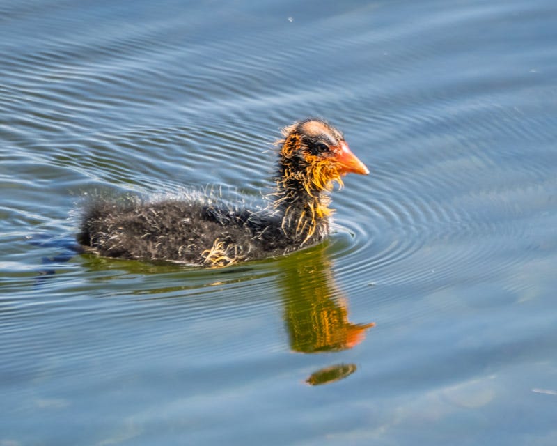 20250915-sgc-181-Edit.jpg 20250915-sgc-181-Edit.jpg