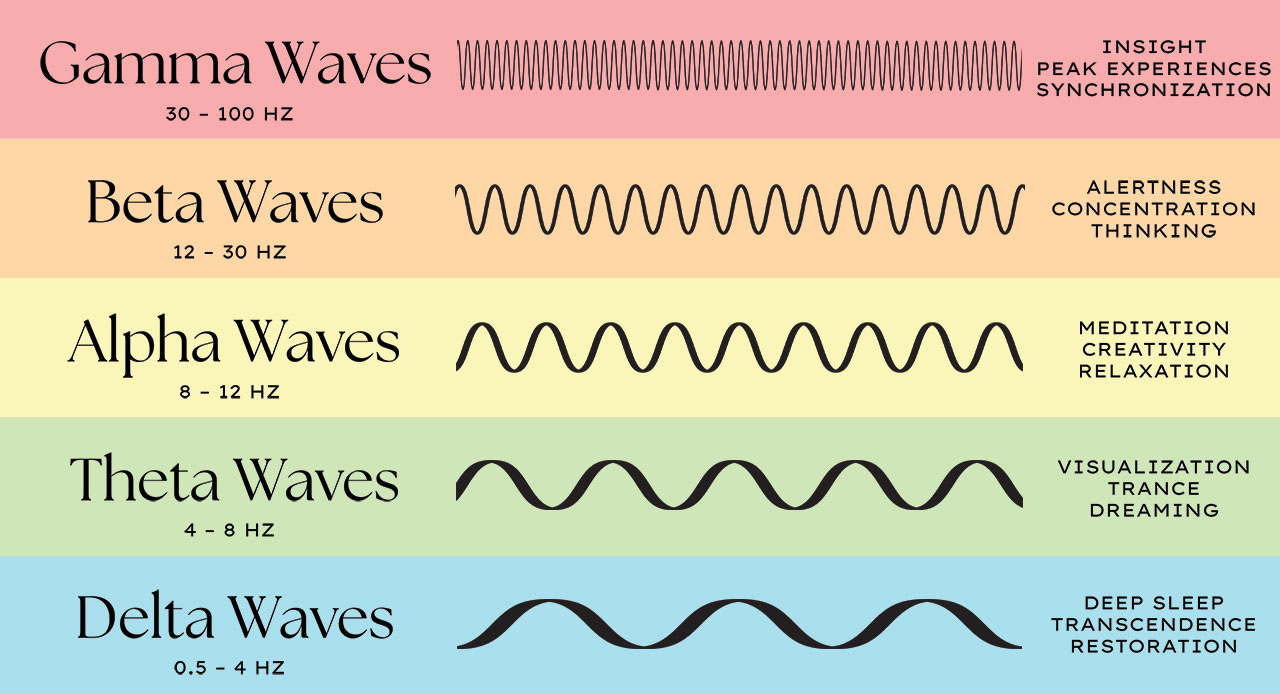 Understanding Brain Waves: Beta, Alpha, Theta, Delta + Gamma Understanding Brain Waves: Beta, Alpha, Theta, Delta + Gamma