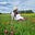 Wild Fen Nic's avatar