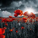 Logo for Remembrance ©