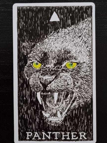The Wild Unknown Animal Spirit - MJS Tarot