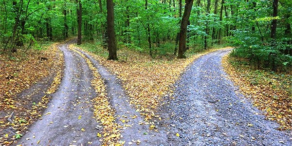 Two Roads Diverged… - The Pulse » Chattanooga's Weekly Alternative
