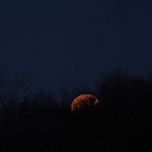 The Snow Moon