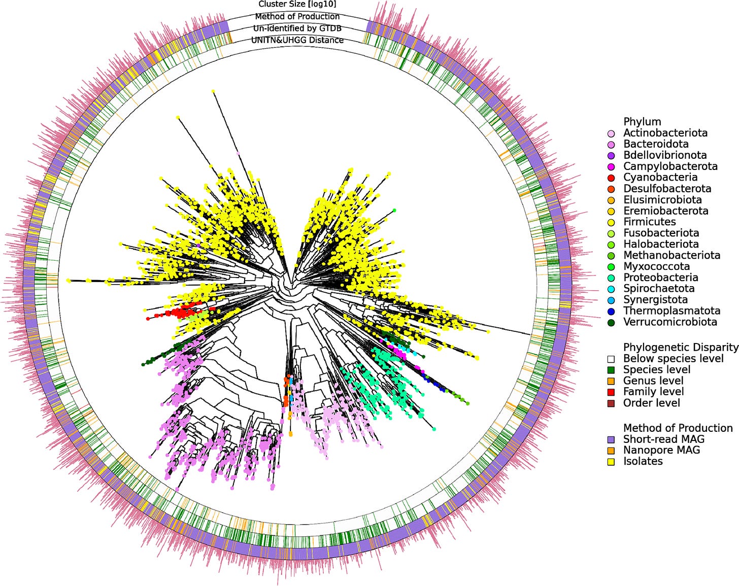 Fig. 1: Phylogenetic tree of the new human gut microbiome genome reference set.