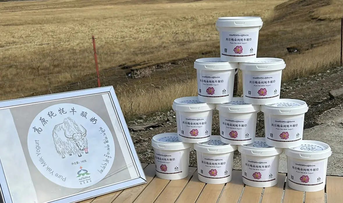 Containers of yogurt stacked in a triangle formation on a table along with a picture of a yak written "pure yak milk yogurt"