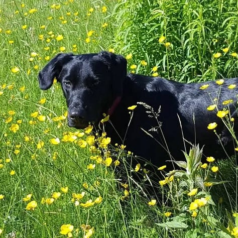 age catches up with murphy