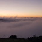 The fog is thinning over West County