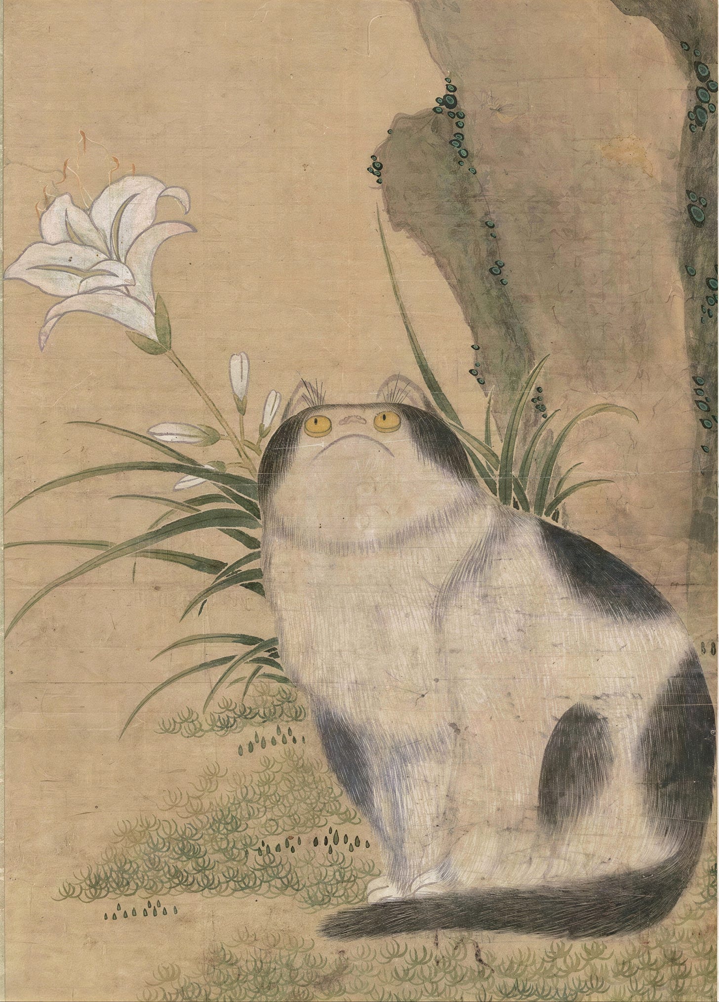 Image Image