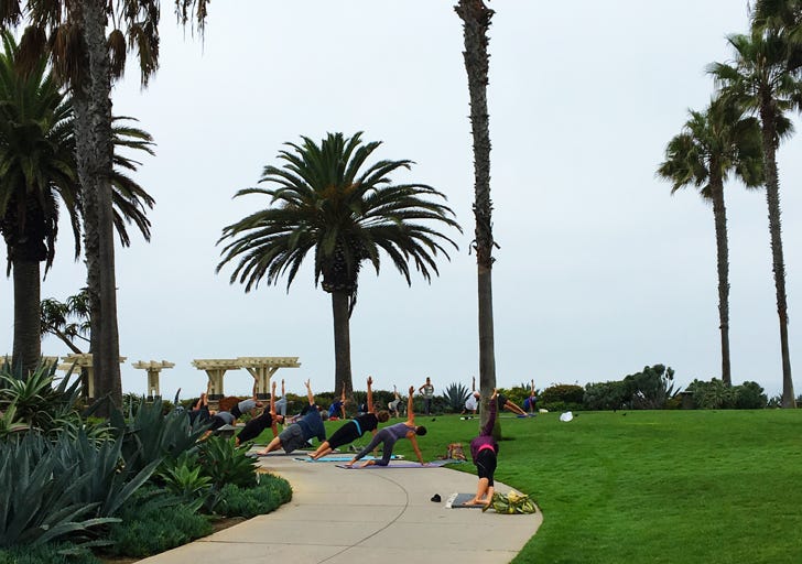 yoga-in-the-park
