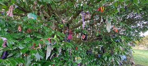 1. pebble inserted to gap between corbelled stones on the dome of the holy well that reads Jesus loves you. 2. Pebble painted in brights stripes inserted between corbelled stones that reads Smile More Often. 3. Close up of sprawling tree with large shiny green leaves with scraps of cloth, socks and all manner of oddities tied to its branches