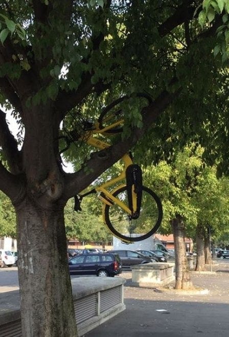 To share or not to share? To share or not to share?