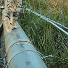 Mamas Don't Let Your Babies Go To Mar-A-Lago! Tabs, Fri., Dec. 19, 2025